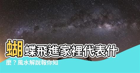 晚上蝴蝶飛進家裡 出太陽下雨